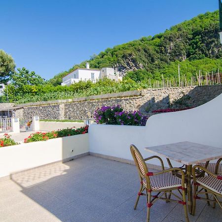 La Capannina - Hotel & Apartments Ischia Exterior photo