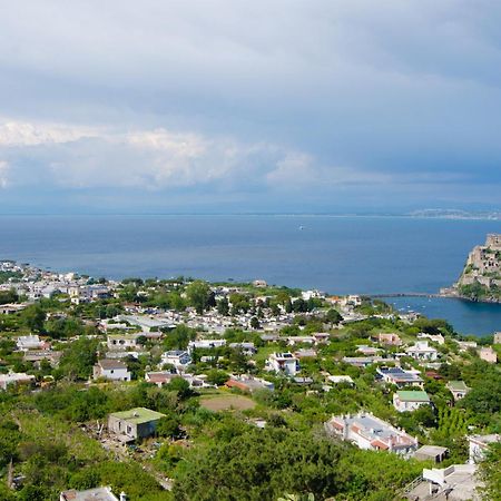 La Capannina - Hotel & Apartments Ischia Exterior photo