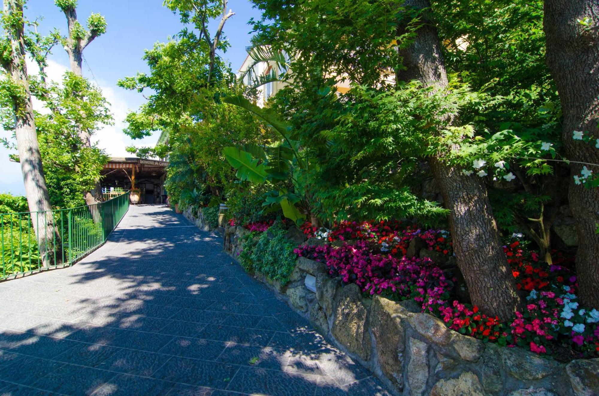 La Capannina - Hotel & Apartments Ischia Exterior photo