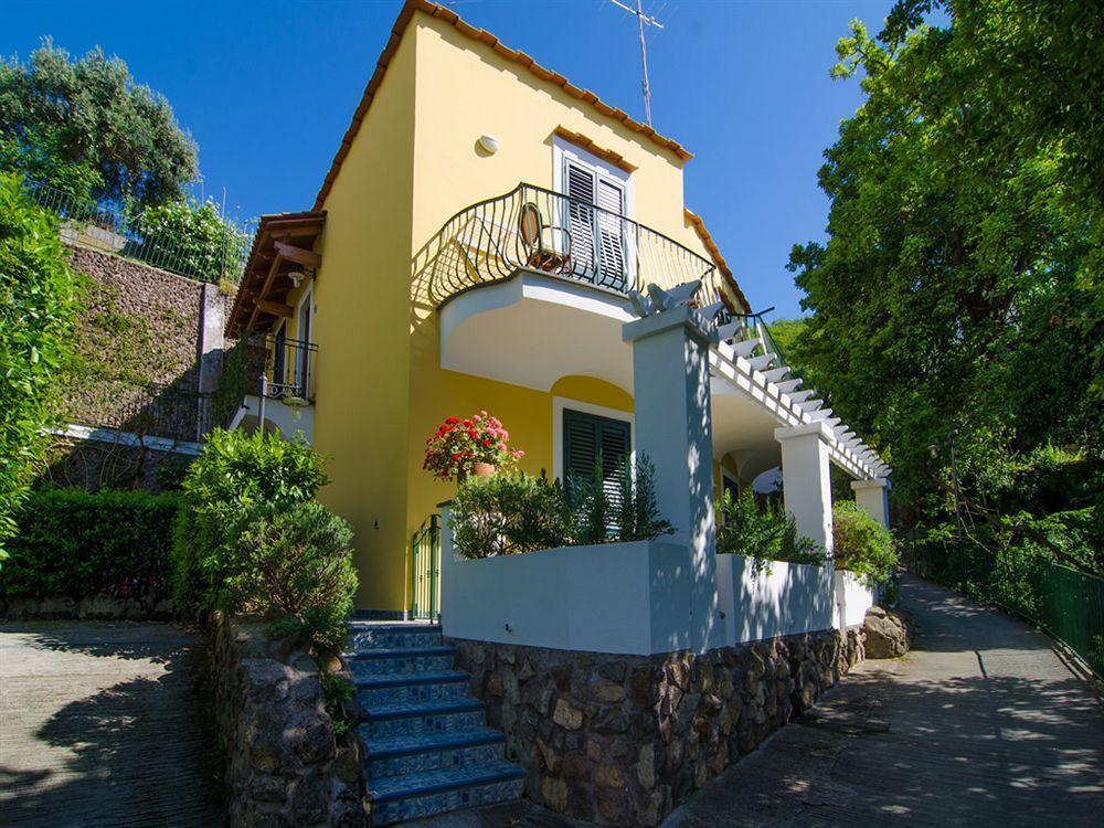 La Capannina - Hotel & Apartments Ischia Exterior photo